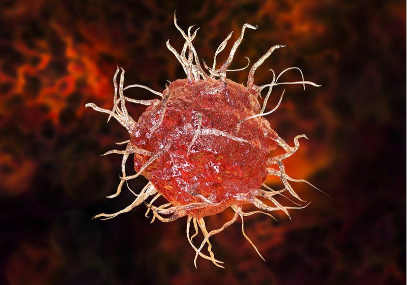 cancer immunotherapy dendritic cell 3D immunicum