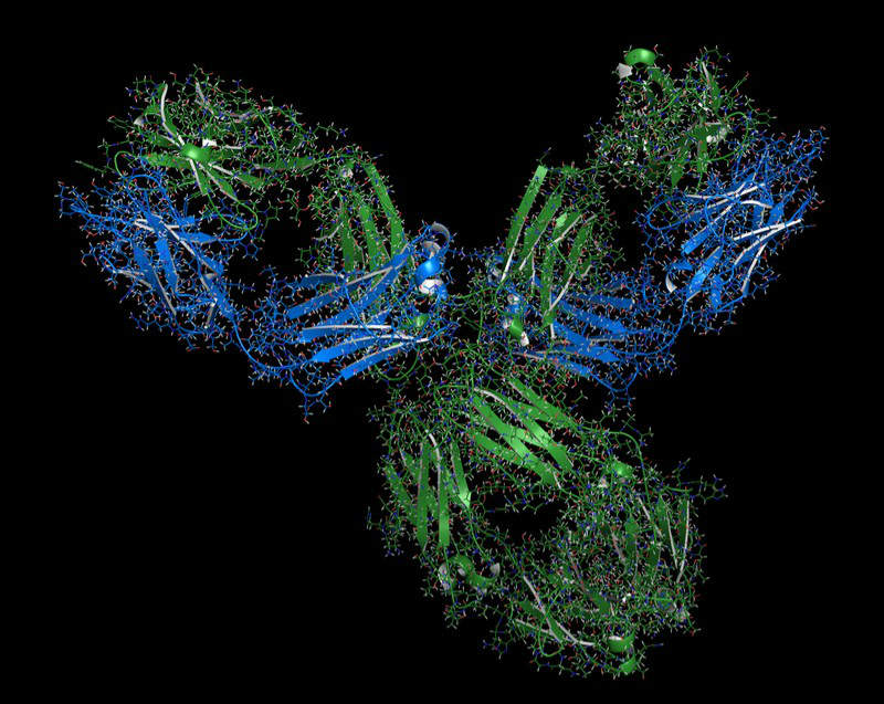 Innate Pharma cancer immunotherapy checkpoint inhibitor