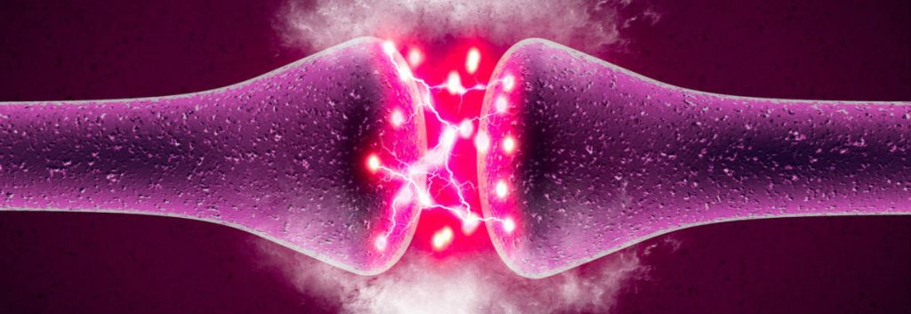 Pharnext orphan disease neuron synapse