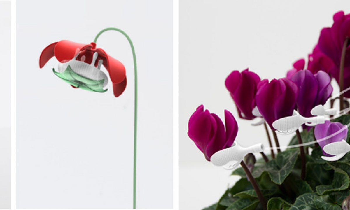 sex in the pillary Plant Sex Consultancy: Sex Toys for Plants