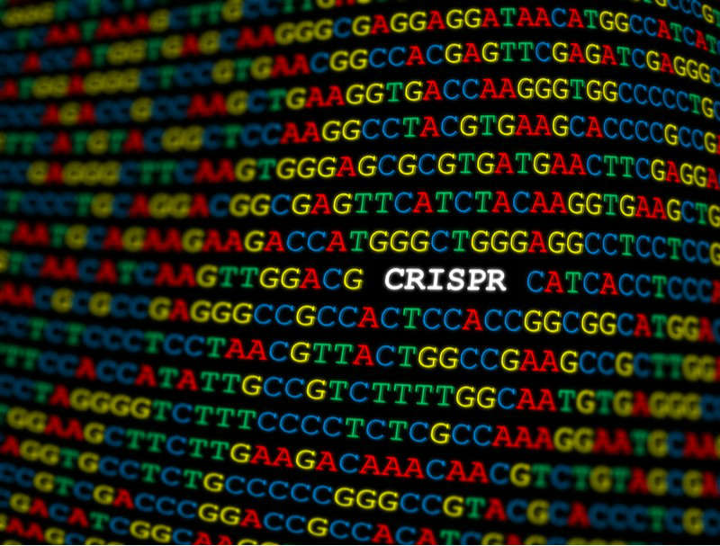 crispr ers genomics code