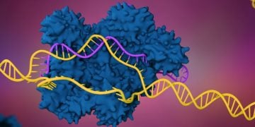 crispr ers genomics enzyme industrial