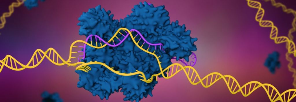 crispr ers genomics enzyme header