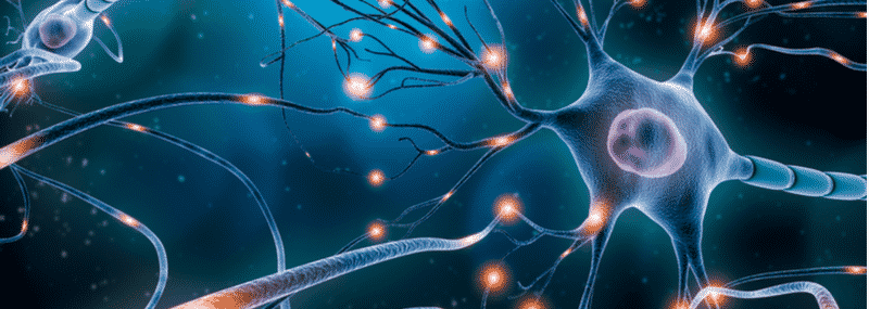 Prothena, Parkinsons Disease, neurons, neurological diseases