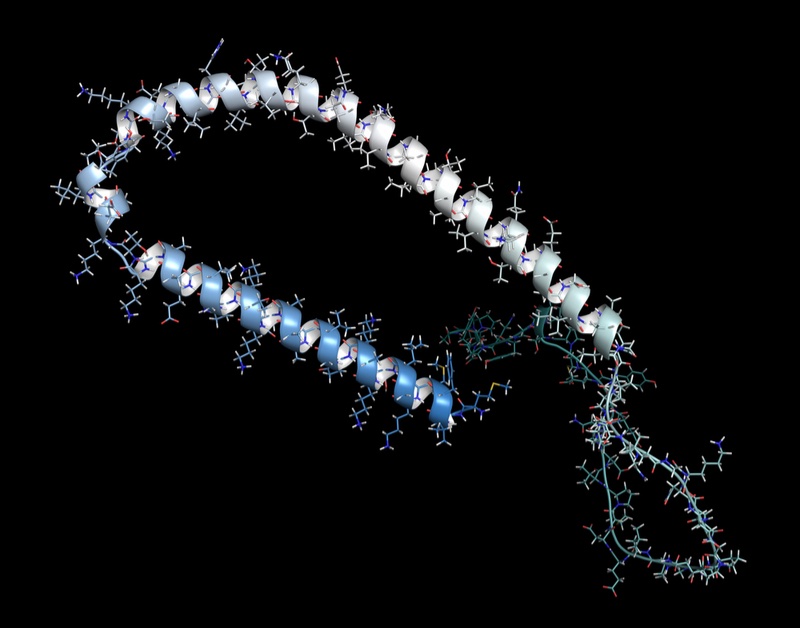 Parkinson's feature - alpha synuclein protein