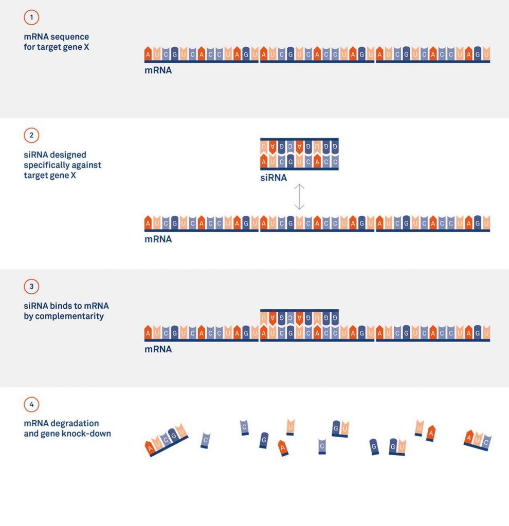 RNAi - Silence Therapeutics