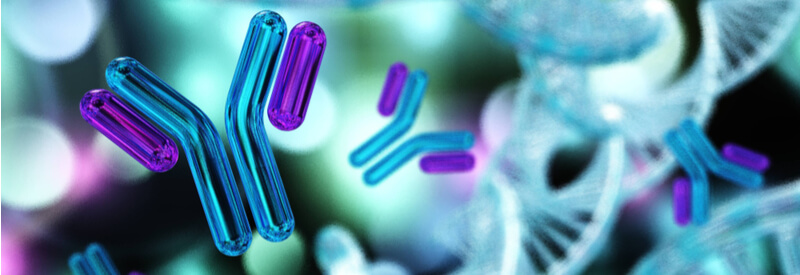 merck, biotechnology partnership program, drug development, drug discovery,