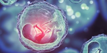 cambridge nature placenta organoids stemcell fetus