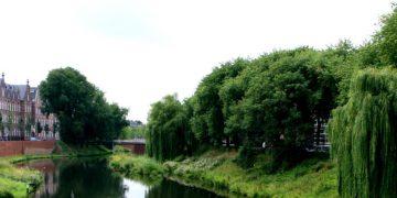 den bosch netherlands lava therapeutics cancer immunotherapy