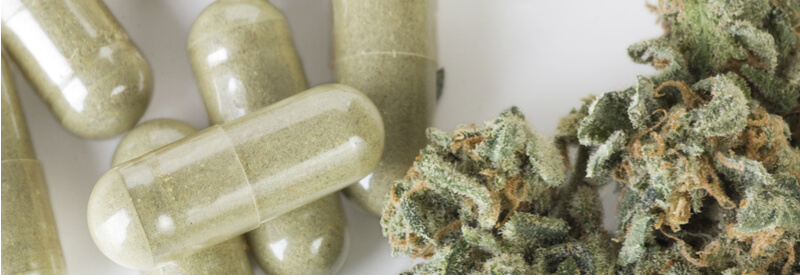 medical cannabis, legalization of medical cannabis, Dentons