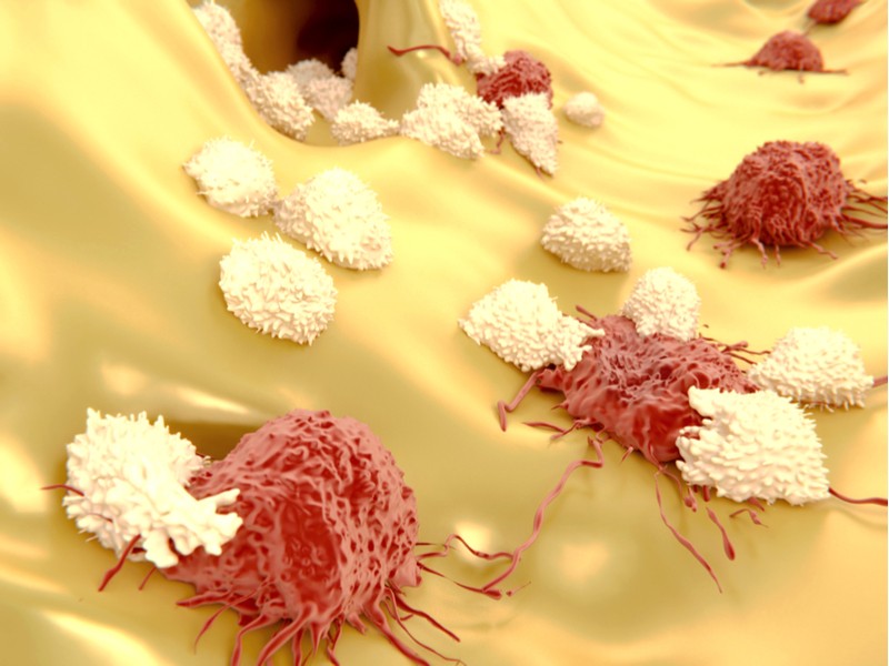 genentech immunocore immunotherapy lymphocytes