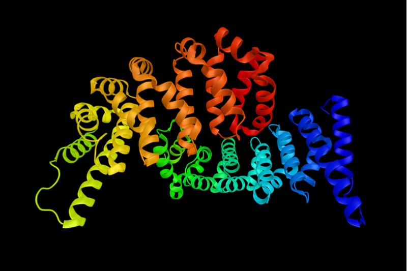 orphazyme rare disease heat shock protein 70