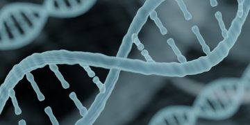 orphazyme rare disease lysosome DNA