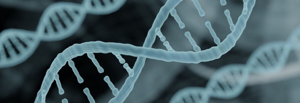 orphazyme rare disease lysosome DNA