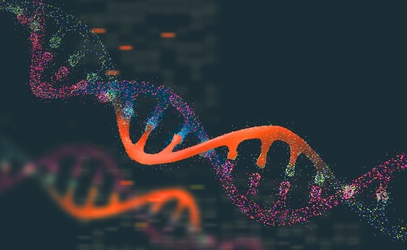 ribbon biolabs synthetic biology