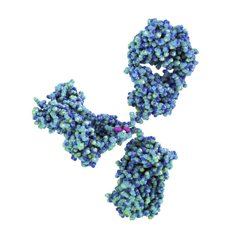 t cell cancer immunotherapy lava therapeutics antibody