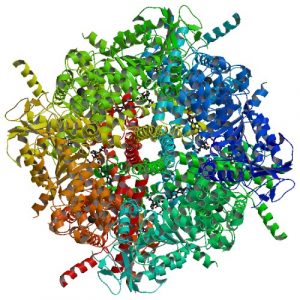 cryo-electron microscopy, evotec, nobel prize, structure-based drug design