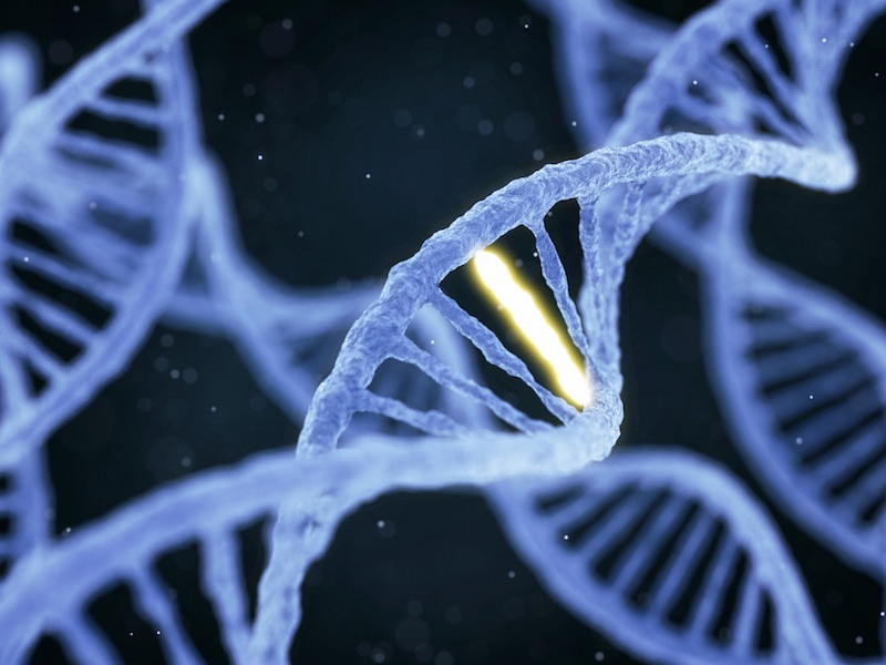 DNA quantification Stilla Technologies