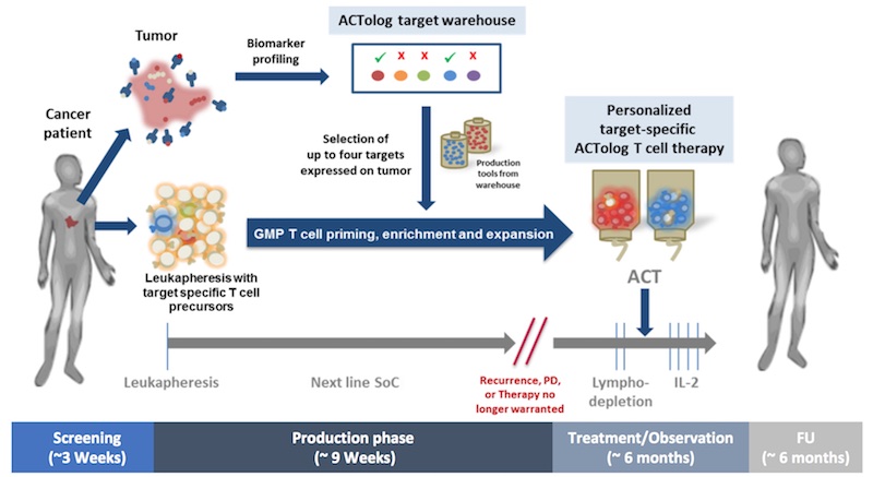 Immatics personalized cancer treatment