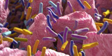 janssen microbiome inflammatory bowel disease