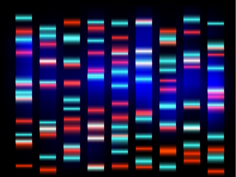 janssen microbiome inflammatory bowel disease