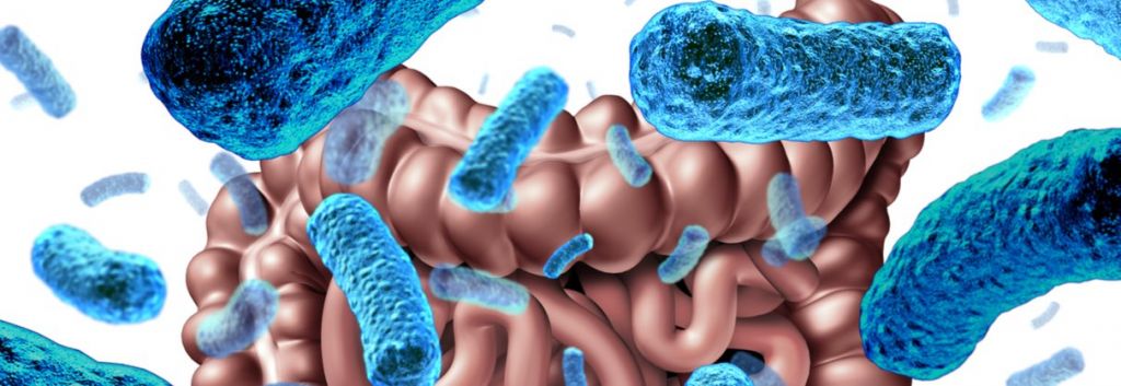 maat pharma gut microbiome therapy cancer