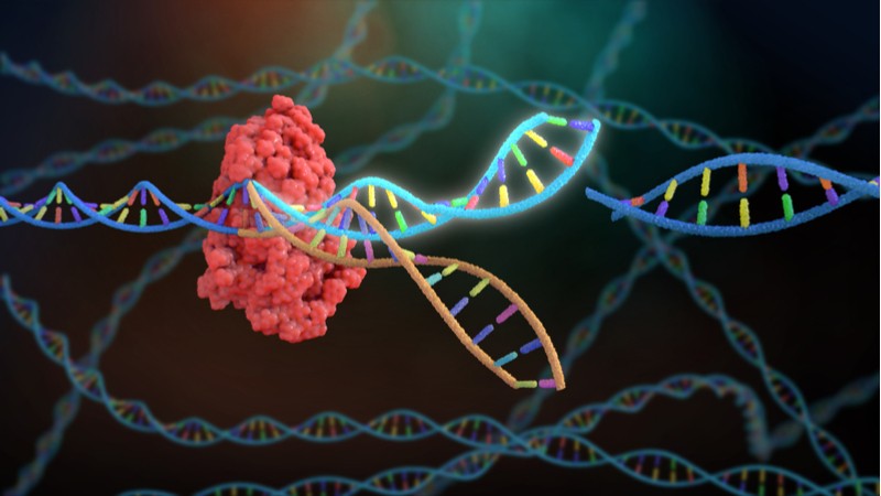 news roundup biotech crispr dna