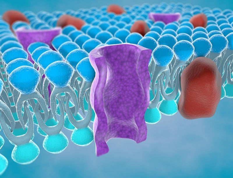 nmd pharma neuromuscular disorders ion channel chloride