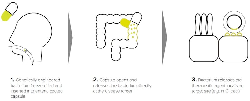 cure for diabetes type 1