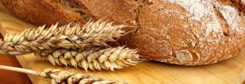 CRISPR wageningen netherlands gluten wheat