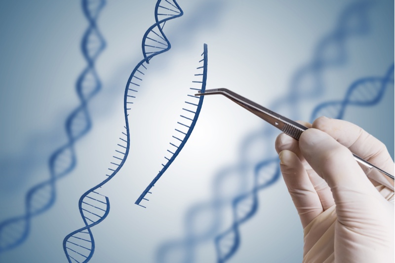 Ryan Cawood, Oxford Genetics - pic 1 - pieces of DNA