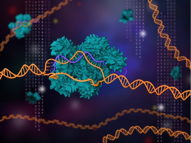 Ryan Cawood, Oxford Genetics - pic 2 - CRISPR