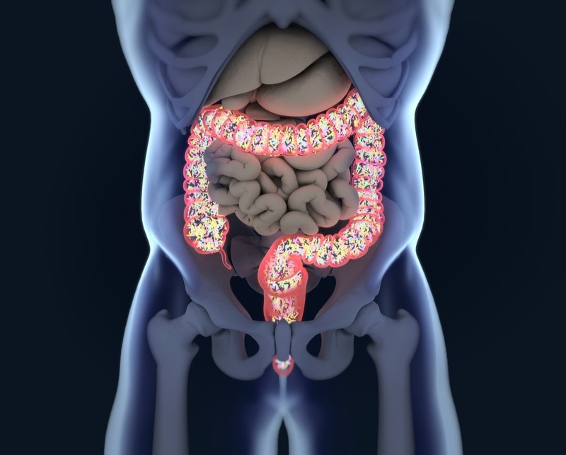 PharmaBiome microbiome ulcerative colitis gut