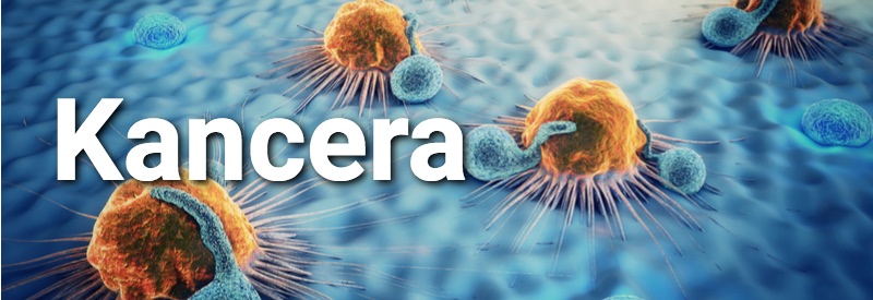 Stockholm biotech companies - Kancera