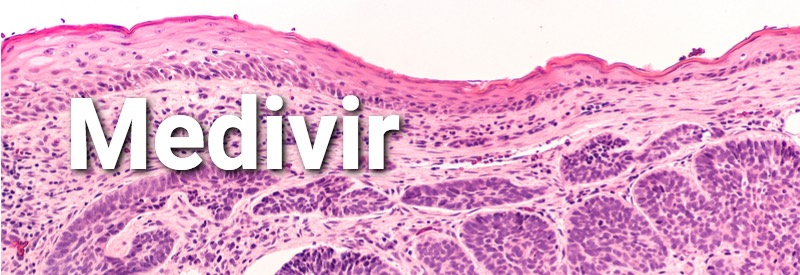 Stockholm biotech companies - Medivir