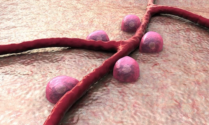 Type 1 diabetes insulin producing beta cells