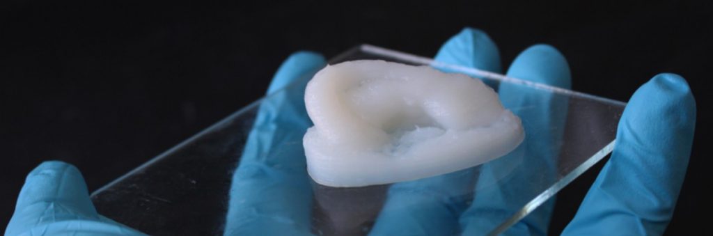 empa bioprinting ear