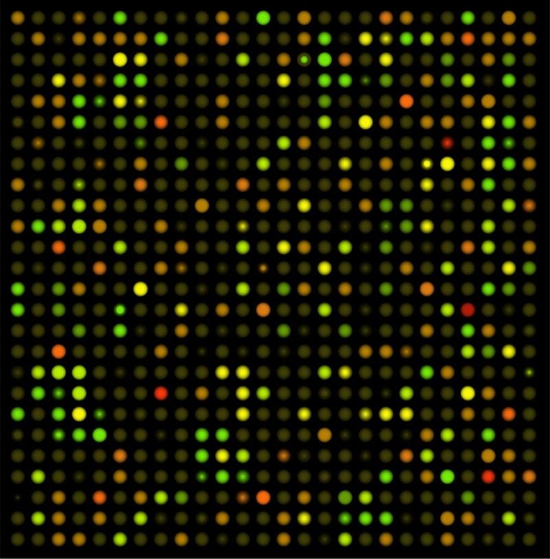 deCODE genetics whole genome sequencing uk biobank