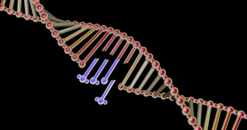 crispr therapeutics crispr/cas9