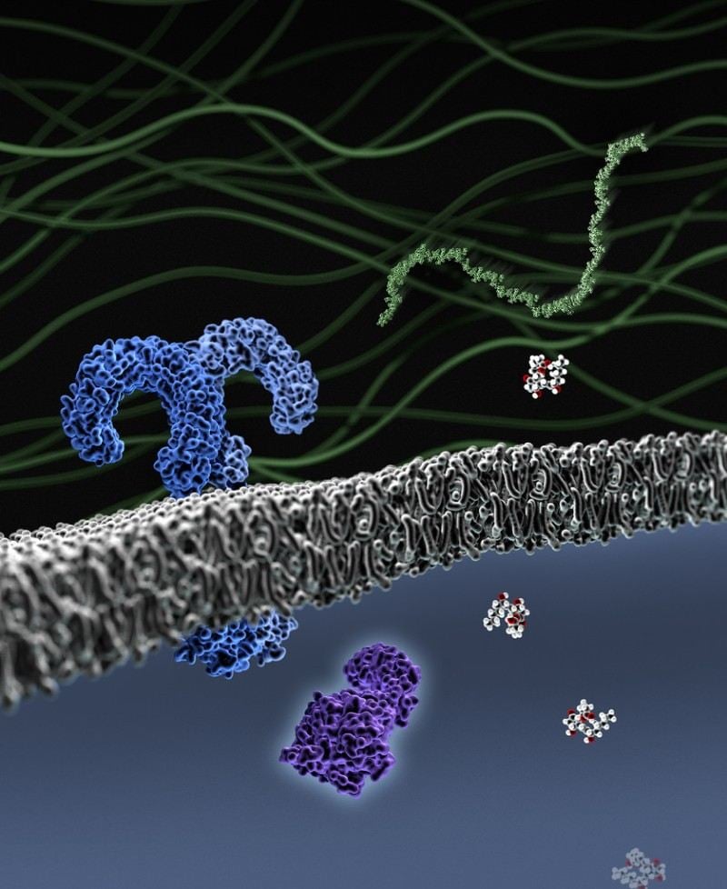 nih engitix extracellular matrix cancer