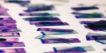 minervax novo nordisk holding impact antimicrobial resistance slides