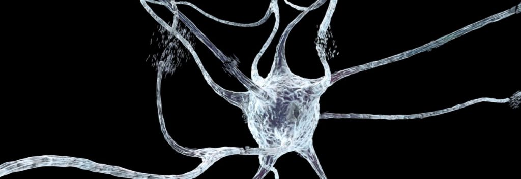 picometrics technologies Huntingtons disease neuron