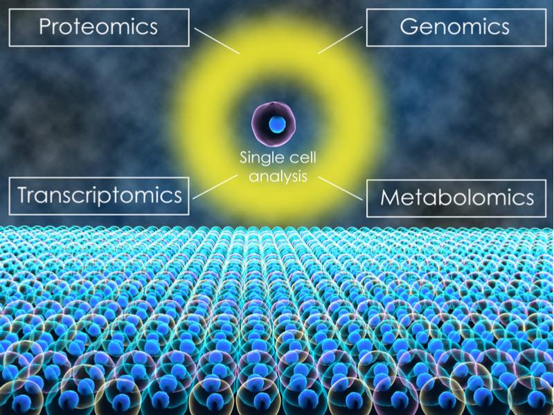 Globalization article - single cell analysis