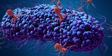 CRISPR-Cas9 bacteriophage anti-CRISPR gut microbiome (1)