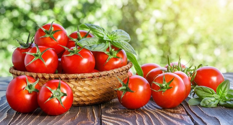 CRISPR applications tomato