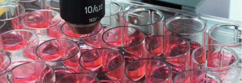 small biotech company, funding, Merck, Millipore Sigma, CDMO, partner company, cell line development, regulatory authorities, drug development