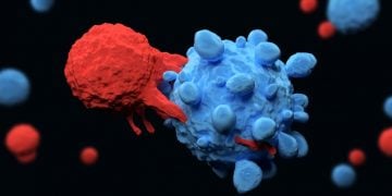 Cell medica car-t cell therapy cancer therapy