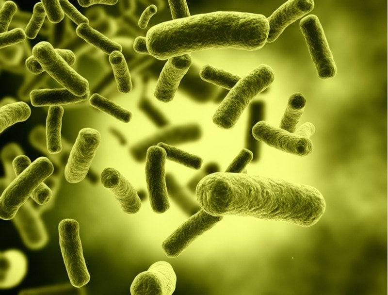 antibiotic resistance next-generation sequencing ares qiagen bacteria