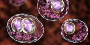hookipa cancer vaccine hiv cytomegalovirus