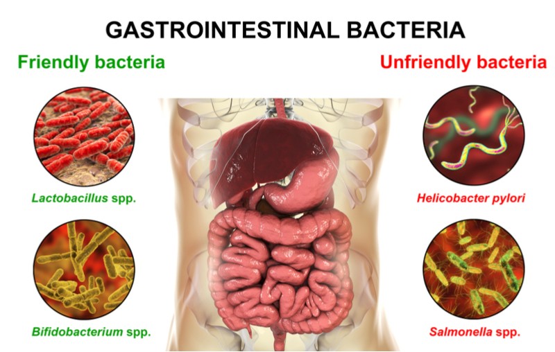 oslo bio-me gut microbiome microbiota